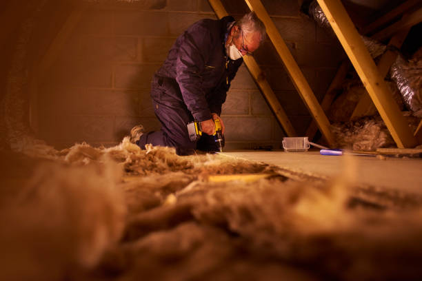 Best Eco-Friendly Insulation in El Campo, TX
